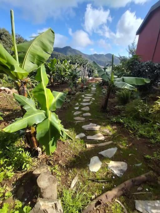 Villa Sea Mountain House Machico  Exterior foto