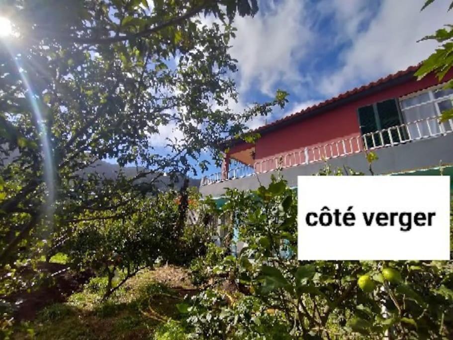 Villa Sea Mountain House Machico  Exterior foto