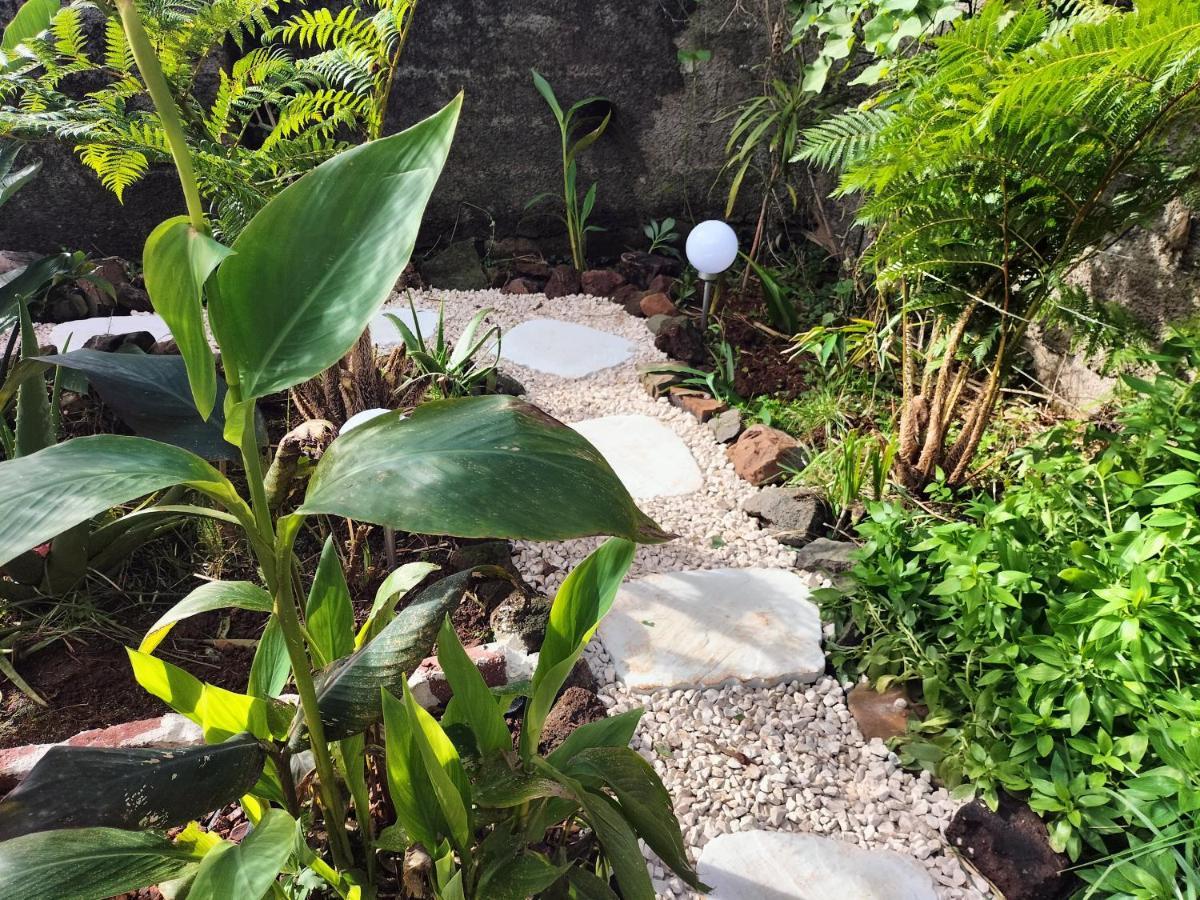 Villa Sea Mountain House Machico  Exterior foto